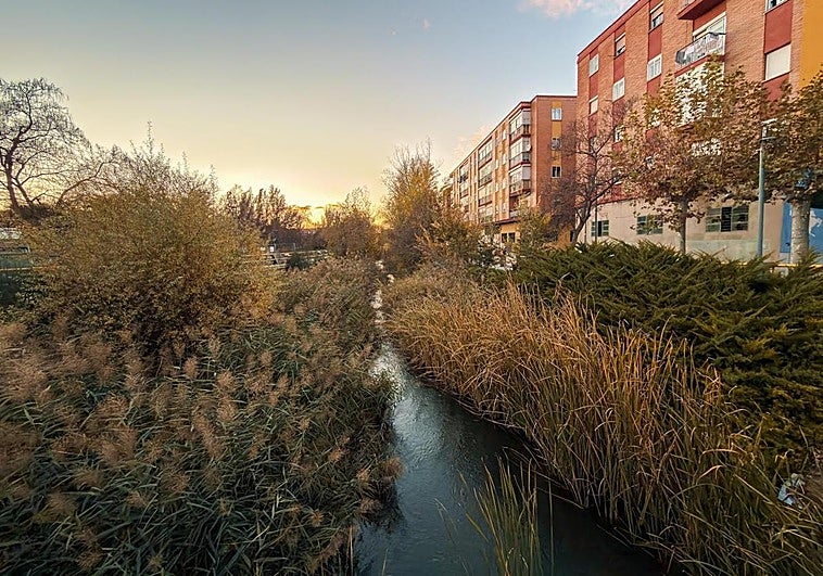 La rehabilitación del cauce del Esgueva y la EDAR, principales inversiones aprobadas por Aquavall